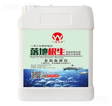 多肽魚蛋白-落地根生-一佰億畝