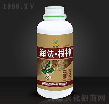 海法·根神-海法優(yōu)佳