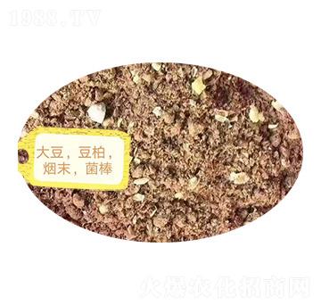 ������������ĩ��������-�Z�M�}