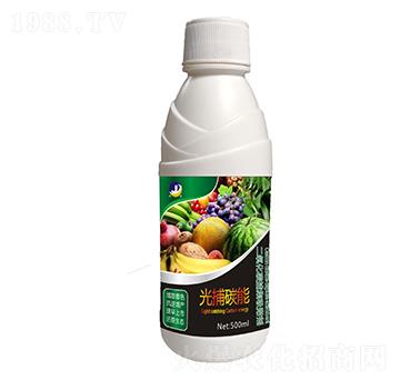 ������̼����������-�Ⲷ̼��-���_(d��)