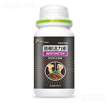 ��ˎ�Č������������-�����Ƽ�