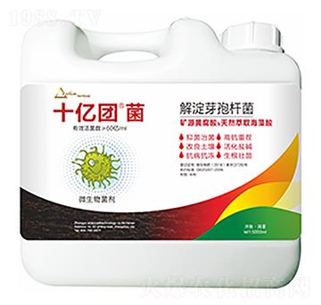 ���ѿ�ߗU��-ʮ�|�F��-�����Ƽ�