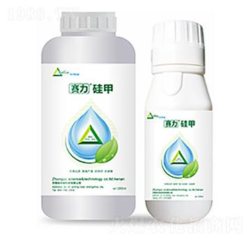 ِ�����-�����Ƽ�