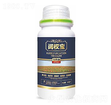 �辌�-�����Ƽ�