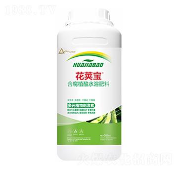 �󶹻�Ӣ��-��ԣ�Ƽ�