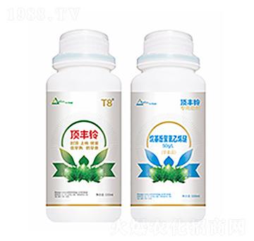 ��S�-�����Ƽ�