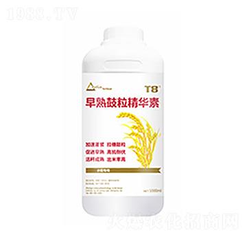 ����������A��-������