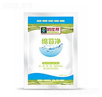 �d̦��-�����Ƽ�