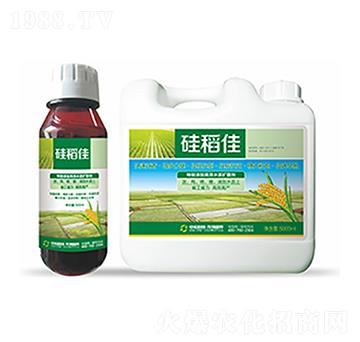 �赾��-�����Ƽ�