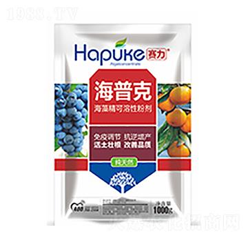 ِ�����տ�-�����Ƽ�