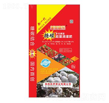 ��̼�����ι��-���Ӹߘ�(l��)-�P�_�ʘI(y��)