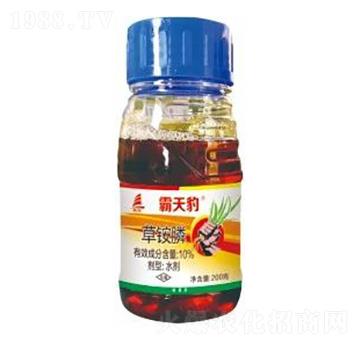 10%���@�-���챪-ϲ�S��