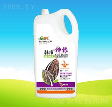 ���-�n��ʘI(y��)