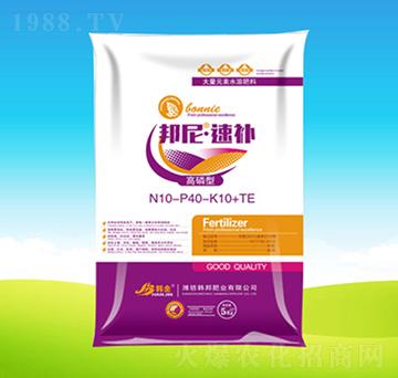 ������N10-P40-K10+TE-���ᡤ���a(b��)-�n��ʘI(y��)