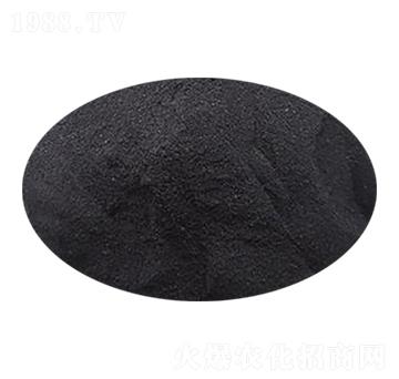 ��ֲ���@-ʥ��һ��