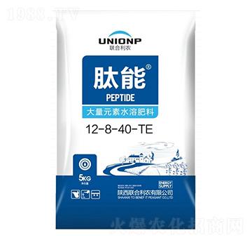 ����Ԫ��ˮ�ܷ�12-8-40-TE-����-(li��n)�����r(n��ng)