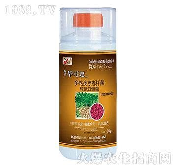 �����S1̖��������N����-꿾�