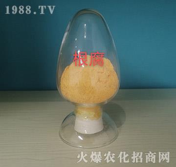 ��������ԭ��-���o���r(n��ng)�I(y��)