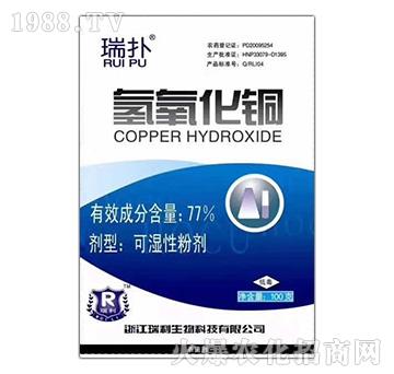 77%�������~-���-��������