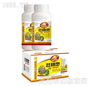 �Ѹ��`�S�Ό���-��������