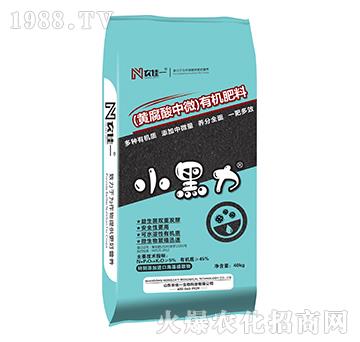 �S������΢�ЙC(j��)����-С����-�r(n��ng)��һ