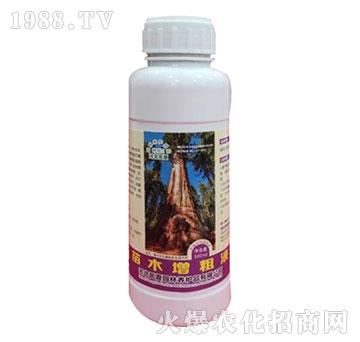 ��ľ����Һ-�ӱ��P��