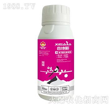 地下類膨大專用水溶肥料-喜地膨-喜上家