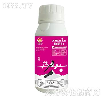 氨基酸型360緩釋氮-施氮力-喜上家