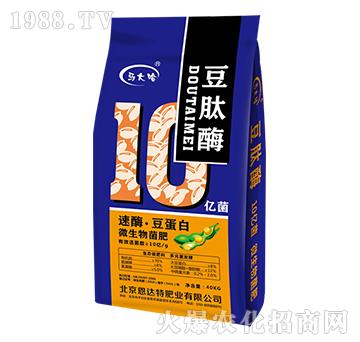 ΢�������10�|����-��ø��������-�R���