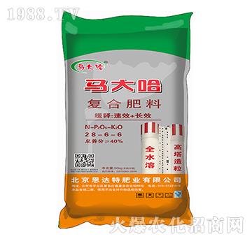 ������(f��)�Ϸ�28-6-6-�R���