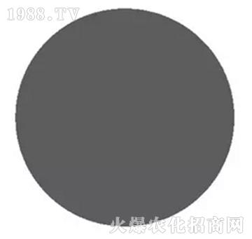 �S�����\-��΢