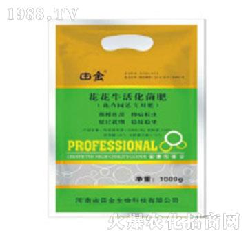 �����������-�������