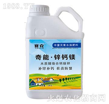 ���ܡ��\�}�V-ِ��-�_�_(d��)