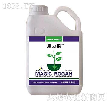 ħ����-�_�_