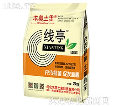 ��ͤ20kg-ľ������