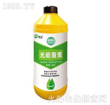 ���ܾ���-΢��-���S���