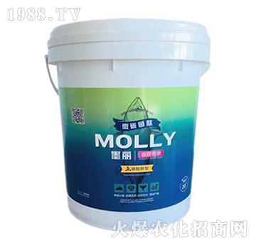 ī���ի@����-����