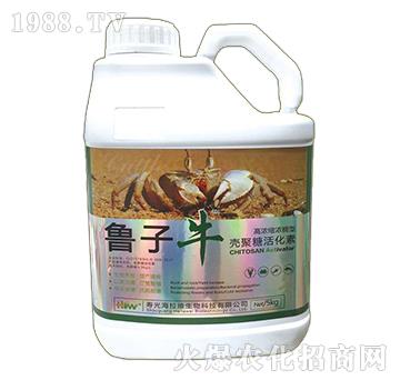 �����ǻ��-����ţ-�����S