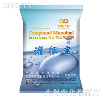 �ͺ�΢�������-�����-��������