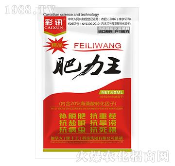 ����ֲ��ˮ�ܷ���-������-��Ӎ-���S��