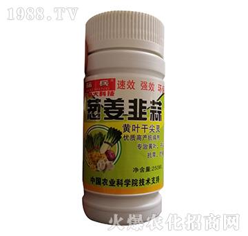 ƿ�b�[�������S�~�ɼ��`