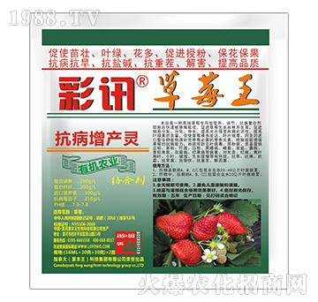 �������a(ch��n)�`-��ݮ��-��