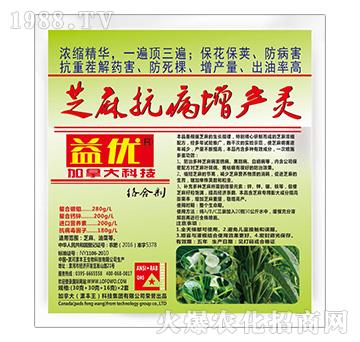 ֥�鿹�����a(ch��n)�`-�惞(y��u)-