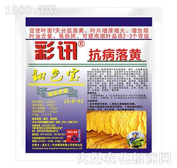 �������S-��ɫ��-��Ӎ