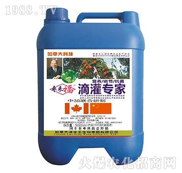 �ι�����-������-���S