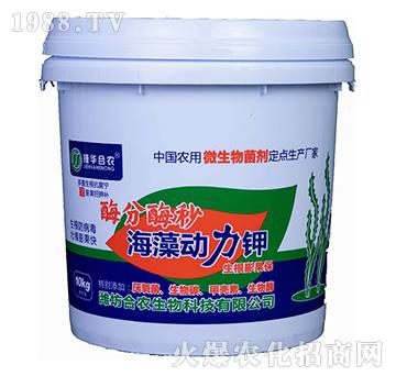 ø��ø��-�����(d��ng)���-���A���r(n��ng)