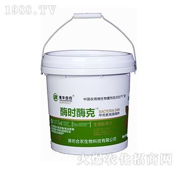 ø�rø��-���A���r