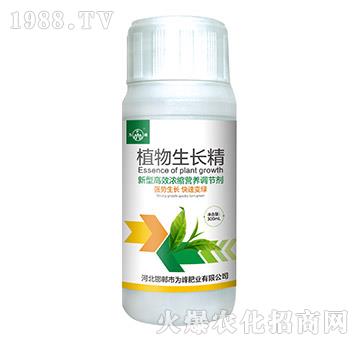 ֲ�����L��-���