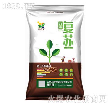 ΢�������-�f�̏�(f��)�K-�f�Ό�-�f���r(n��ng)��