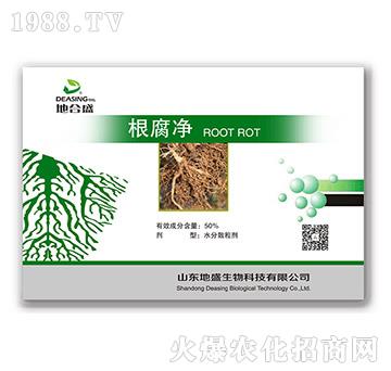 50%������-�غ�ʢ